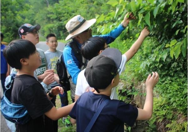 국립횡성숲체원, '2026년 숲체험교육사업' 참가 단체 모집