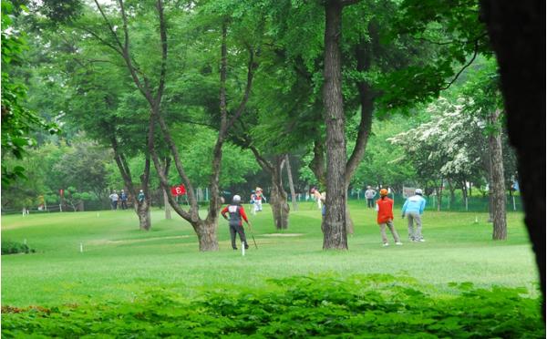 서울시, 연간 3만 명 찾는 잠실파크골프장 4월 1일 재개장… 3월 15일 예약 기사 이미지