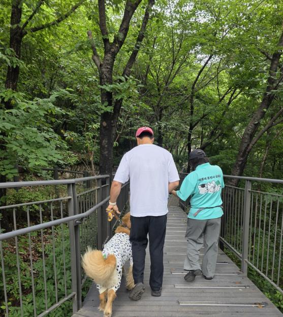 서울 중구, 우리동네 동물훈련사가 직접 찾아갑니다