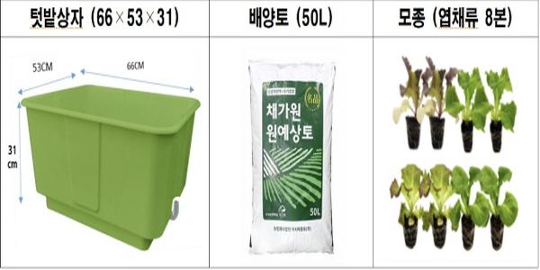 '우리 집 작은 농장' 서대문구 2026년 '상자텃밭' 분양