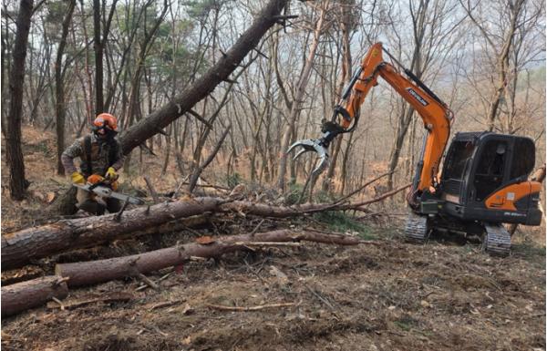 대구 동구, 소나무재선충병 방제사업 집중실시