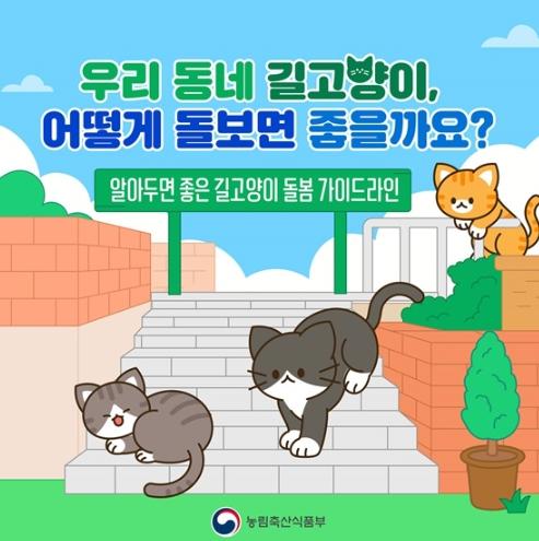 농림축산식품부, 우리 동네 길고양이, 어떻게 돌보면 좋을까요?