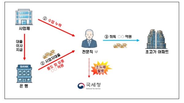 국세청, 사업자 대출로 주택 취득...철저히 검증하겠습니다.