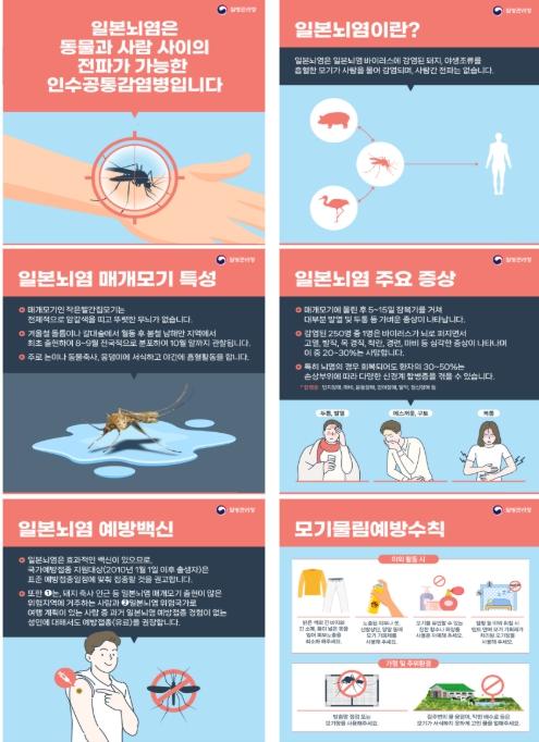 제주에서 올해 첫 일본뇌염 매개모기 확인.…주의보 발령에 예방수칙 당부