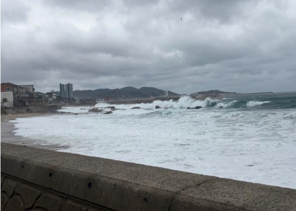 울진해경, 위험예보제'주의보'발령, 너울성 파도 주의