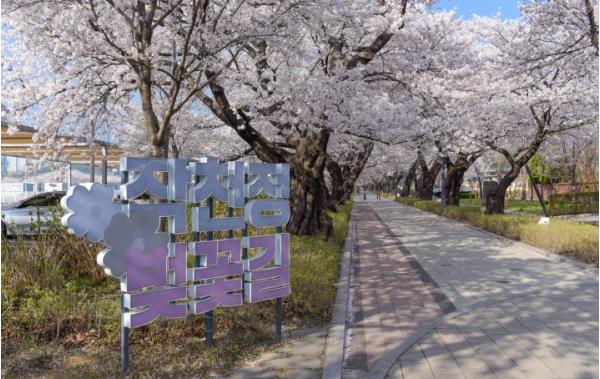 울주군, ‘제7회 울주 작천정 벚꽃축제’ 개최