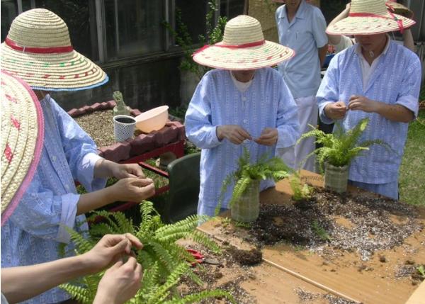 농촌진흥청, 인공지능으로 여는 치유농업의 미래, 산업화·창업 전략 모색