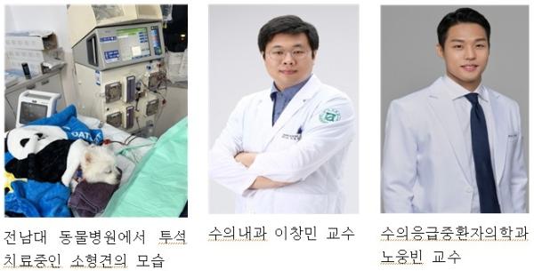 전남대 동물병원, 개소 1년 만에 혈액투석 50례 달성