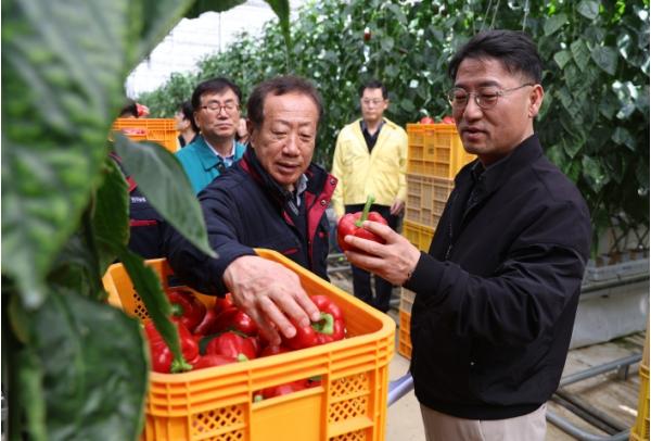 박정훈 식량실장, 중동상황 관련 시설원예 농가 및 쌀 산지유통업체 경영 안정 총력 대응