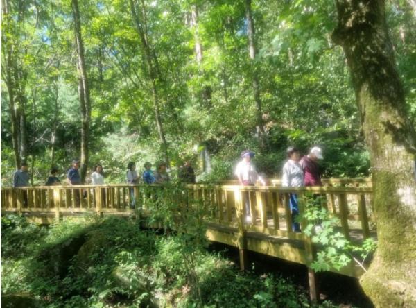 국립횡성숲체원, 장기돌봄활동가 심신안정을 위한 ‘산림치유캠프’ 운영