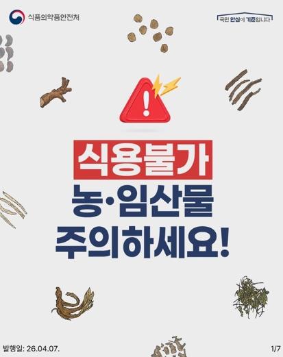 식품의약품안전처, 이런 건강차, 먹으면 위험합니다!