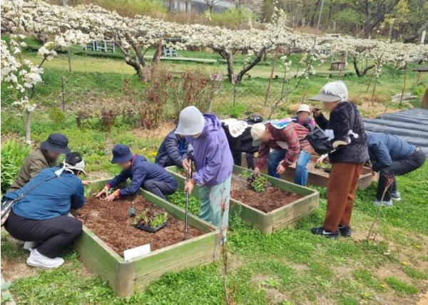 남양주시, 치유농업으로 ‘함께 행복한 고품격 복지’ 실현 나서