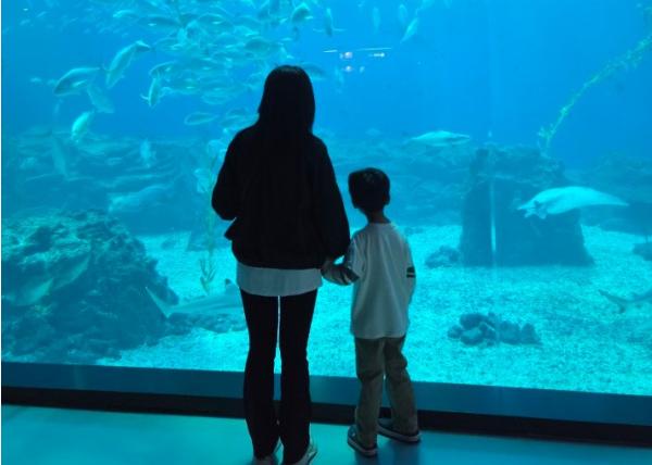 서귀포시교육지원청, 특수교육대상학생 가족 대상 ‘행복 더하기 가족 지원 프로그램’ 운영